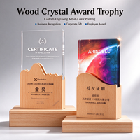 Trophée en bois et cristal personnalisable avec gravure, plaque de reconnaissance professionnelle pour récompense des employés, célébration d'entreprise et cadeau