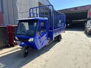 Nuevo Estilo Triciclo de 250cc para Pasajeros y Carga Motocicleta de Tres Ruedas a Gasolina - Product Image 3