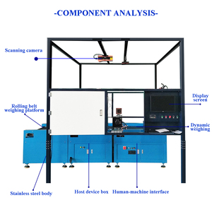 Sistema transportador de clasificación de paquetes Sistema de clasificación logística Clasificador de sistema Dws para clasificar paquetes - Product Image 2