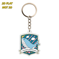 Porte-clés en acrylique imprimé UV motif baleine, design drapeau Liberté Sagesse avec anneau et chaîne métalliques, accessoire fantaisie inspirant