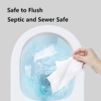 Lingettes nettoyantes antibactériennes jetables pour l'hygiène personnelle, idéales pour les règles et l'utilisation en salle de bain