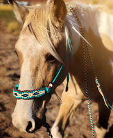 Ensemble de licol et de longe pour cheval, fabriqué par Horse Lead Equip, avec protège-museau, crochet, corde en paracorde tressée à la main, licol en nylon pour l'équitation
