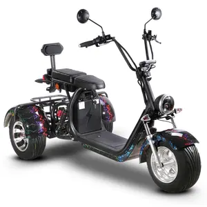 Çin toptan yüksek kaliteli elektrikli Scooter trike Citycoco 3 tekerlekli elektrikli bisiklet/Scooter/motosiklet Citycoco