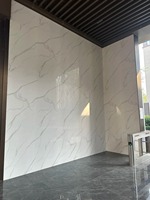 Panneau mural 3D en PVC très demandé, feuille de marbre UV imprimée en 3D, panneaux UV, feuille de marbre en plastique PVC, vente de panneaux UV pour villa, étanche