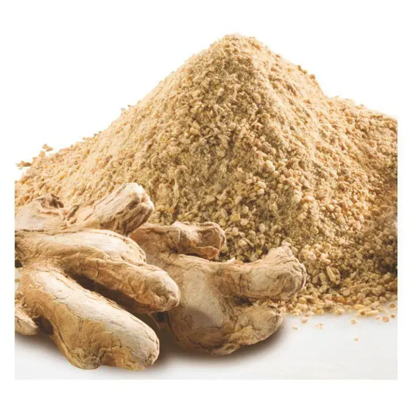 Wholesale dried ginger root varieties high quality dried Chinese ginger tea can be ground