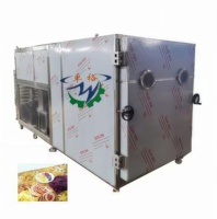 Volledig automatische Zhuoyu roestvrijstalen vacuümvriesdroger voor bloemen & fruit, hoge productiviteit, commerciële apparatuur