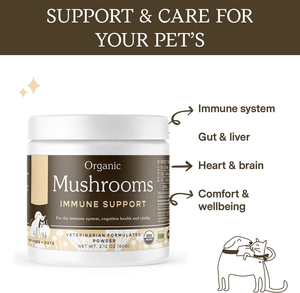 Poudre de champignons Turkey Tail OEM/ODM avec champignons Lion's Mane et Shiitake biologiques pour la cognition et le système immunitaire des chiens et des chats - Product Image 4