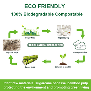 Conteneurs alimentaires <span class=keywords><strong>en</strong></span> bagasse biodégradables et compostables à 100 % sans PFAS, boîtes à clapet <span class=keywords><strong>en</strong></span> canne à sucre, fabricants chinois - Product Image 3