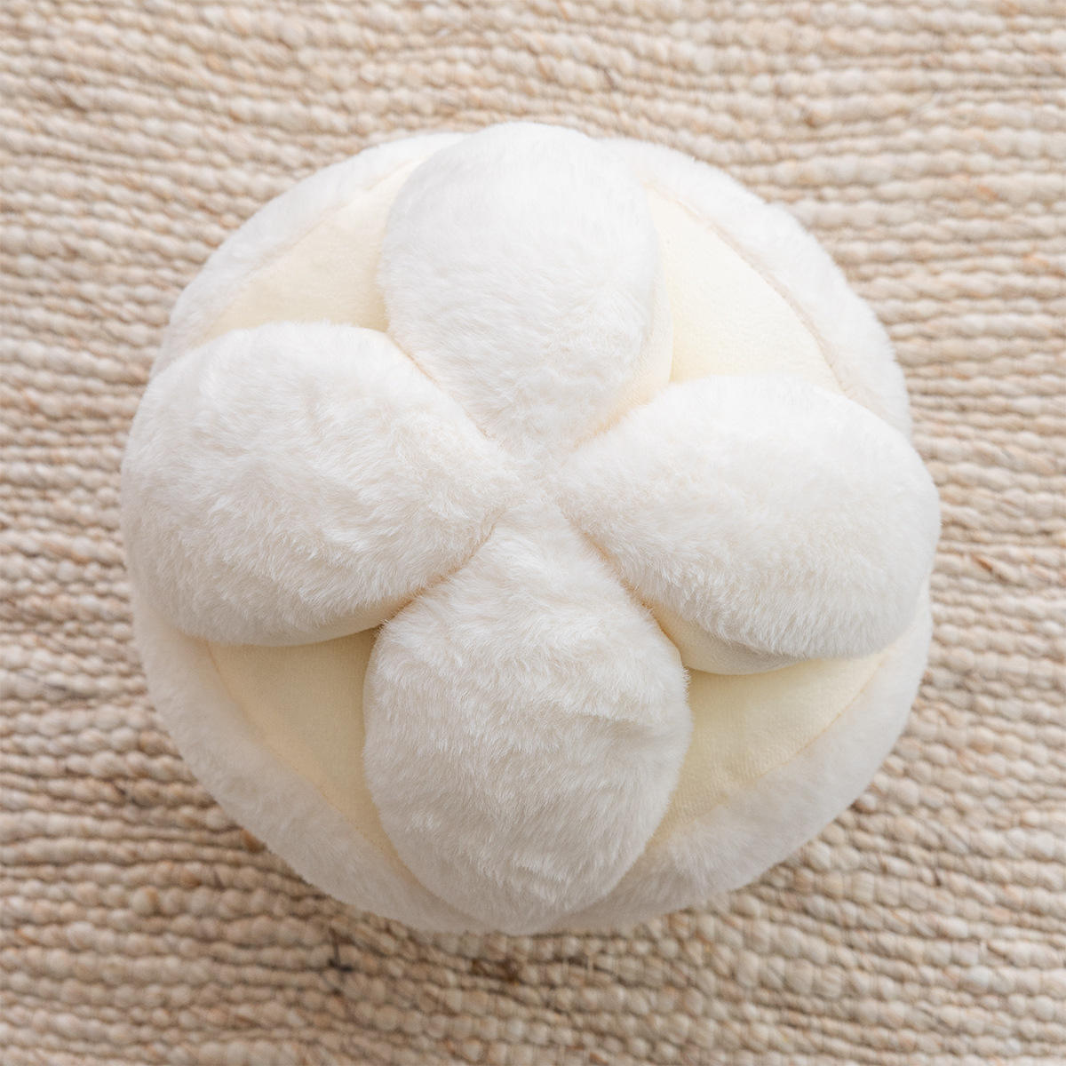 ไฮเดรนเยียสีขาว