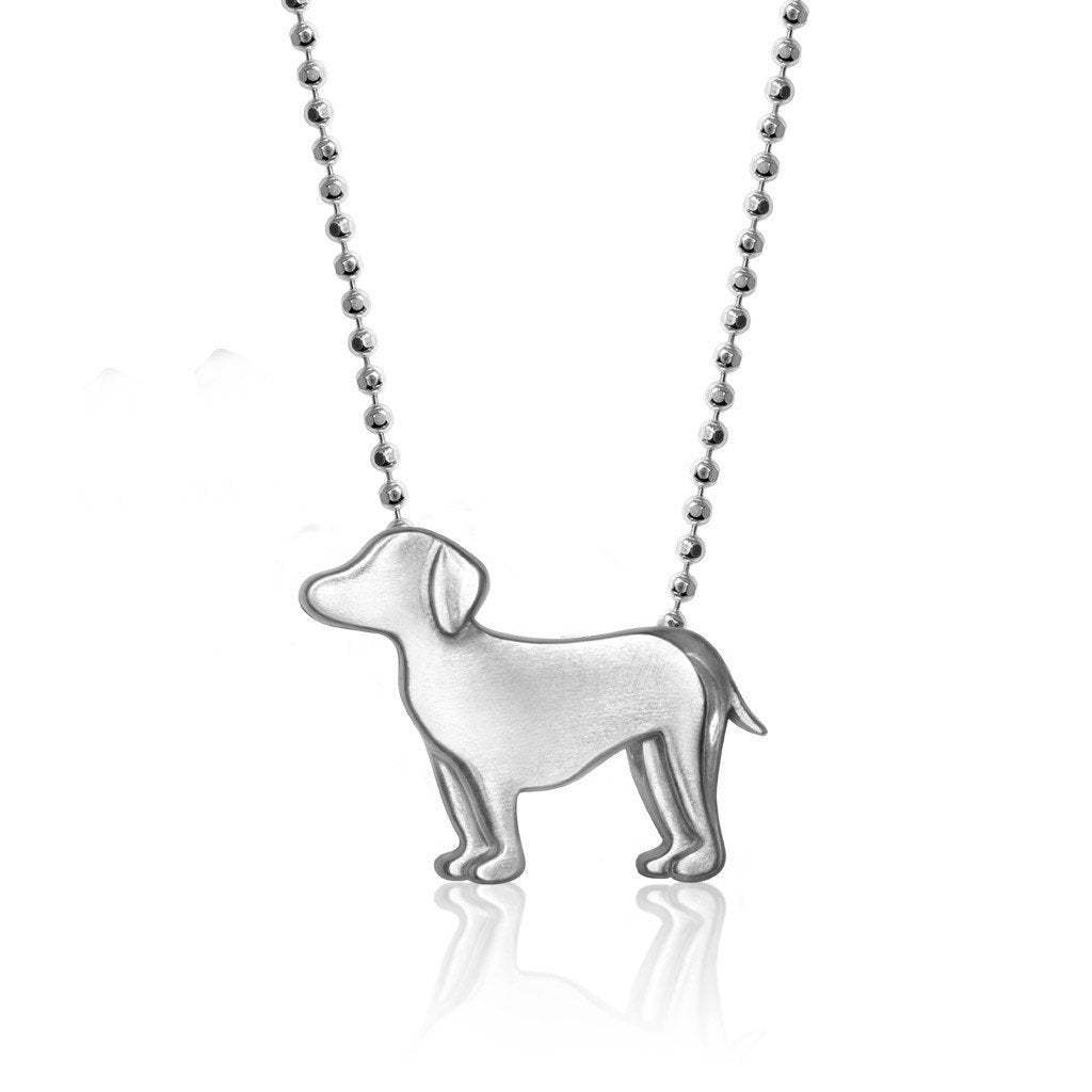 Labrador cachorro-acero