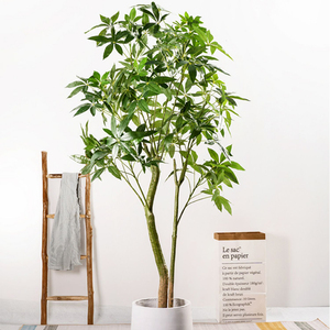 Pachira-maceta Artificial para acuario, planta de Guiana, árbol de castaño - Product Image 2