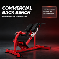 Peralatan Fitness Bodybuilding Berkualitas Tinggi Ekspor Langsung Pabrik, Bench Back Extension Komersial & Rumah Tangga dengan Garansi