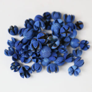 500g de Pistachos con Flores Secas Naturales, Frutos Cruzados, Mini Frutos Felices en Cáscara para Decoración del Hogar, Material para Manualidades de Boda - Product Image 2