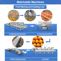 HNOC Automatische Kiwi Knoflook Sinaasappel Fruit Sorteermachine Bosbes Dadel Formaat Sorteer- en Wasmachine Prijs