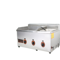 Équipement de cuisine, plaque de cuisson au gaz propane, friteuse, acier inoxydable, économie d'énergie, 50 kg, état neuf, restaurants, hôtels