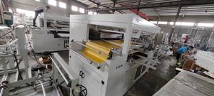 Nóng bán phim bao gồm sưởi ấm dưới sàn EPS Hội Đồng Quản trị bọt nước nóng sàn nhựa tạo thành máy - Product Image 6