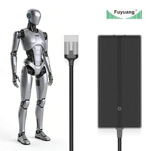 <span class=keywords><strong>Chargeur</strong></span> de batterie au lithium intelligent 21V 25.2V 29.4V 42V 54.6V 58.8V 2A 3A 5A pour outils sans fil et robots - Product Image 1