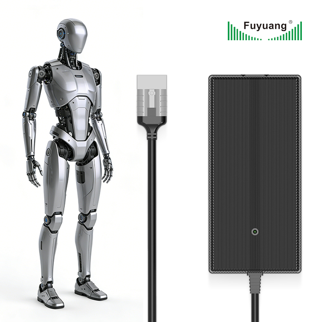 21V 25.2V 29.4V 42V 54.6V 58.8V Smart Lithium Battery Charger 2A 3A 5A for Cordless Tools Robot