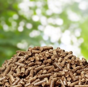 Granulés de bois de haute qualité pour chaudières industrielles, énergie biomasse, diamètre 6 mm, faible teneur en cendres, rendement thermique élevé, emballage en vrac - Product Image 2