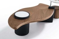 Table basse de salon moderne et créative en forme de feuille, en noyer, ensemble de tables basses de luxe pour le salon