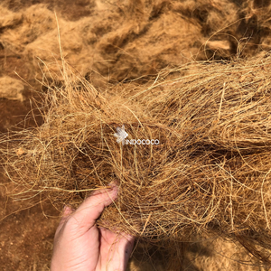 Fibra de alta calidad que promueve el desarrollo de raíces, retiene la humedad y se adapta a diversas aplicaciones hortícolas, disponible a nivel mundial. - Product Image 5