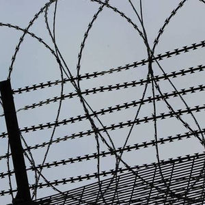 Alambre de púas de maquinilla de afeitar, alambre de púas tipo BTO-22 de acortina galvanizado de 450mm y 500mm - Product Image 2