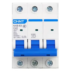 High Quality CHINT NXB-63 series 1,2,3,4 P mini circuit breaker with competitive price