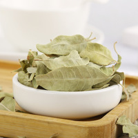 Té de Hojas de Luobuma |   Té Herbal Calmante y de Apoyo Hepático |   Sin cafeína |   Apocynum Veneti Folium Seco a Granel |   OEM Personalizado