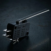 KW7-9 125/250/380V AC sécurité mécanique limitée Micro interrupteurs convoyeur à bande interrupteur de fin de course
