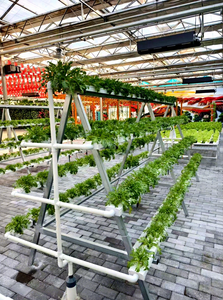 Greenhouse Planting <strong>Troughs</strong> for Fruits and <strong>Vegetables</strong> - Product Image 4