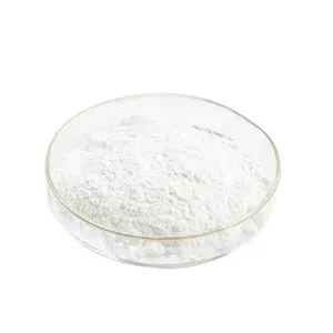 Ácido poliacrílico sódico (PaaS) 9003-04-7 polvo de poliacrilato de sodio