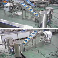 1000kg/uur RVS-pomp aardappelwas-, schil- en snijmachine voor groenteverwerkingslijn