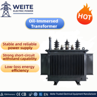 Transformateur de puissance immergé dans l'huile 10 kV S11 1250 kVA, conception économe en énergie pour les systèmes de distribution d'énergie des entrepôts