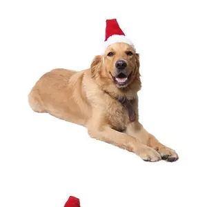 בסיטונאות חג מולד תלבושות חתול-סיטונאי חורף חיות מחמד קוספליי כלב חתול חג המולד כובע חדש שנה מעוטר קטן חג המולד מיני כלב סנטה כובע