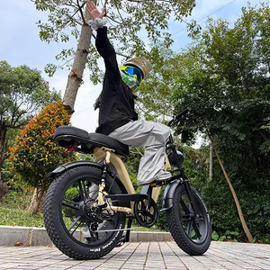 Bicicleta Eléctrica R7 Fatbike 48V <span class=keywords><strong>de</strong></span> Litio, Bicicleta Eléctrica Deportiva <span class=keywords><strong>de</strong></span> <span class=keywords><strong>Montaña</strong></span> con Cuadro <span class=keywords><strong>de</strong></span> Acero <span class=keywords><strong>de</strong></span> 20 Pulgadas, Neumáticos Anchos, E-Bike Mtb, Bicicleta Eléctrica Surron - Product Image 2