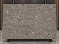 Dalles de marbre gris fossile de conque en pierre naturelle pour plateaux de table à manger, panneaux muraux, carreaux de sol, parois de douche et tables consoles