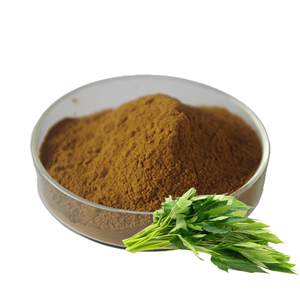 Ekstrak daun besok <span class=keywords><strong>Ashitaba</strong></span> kualitas tinggi ekstrak <span class=keywords><strong>Ashitaba</strong></span> ekstrak Angelica Keiskei - Product Image 1