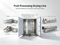 Industriële lucht-energie fruitdroger, complete fruitverwerkingslijn met sorteer-, was-, lucht- en droogruimte