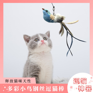 Cabezal de Repuesto para Juguete Interactivo para Gatos con Plumas de Agapornis, Juguete Duradero para Mascotas - Product Image 5