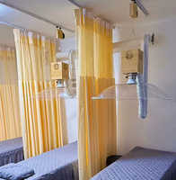 Purificateur de fumée de moxibustion pour centre de bien-être commercial, ventilateur d'extraction mobile avec système d'aspiration pour hôpital et clinique de médecine traditionnelle chinoise