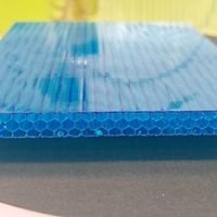 Panneau creux en polycarbonate durable Trous en nid d'abeille de différentes couleurs, y compris les feuilles transparentes de soleil vert-bleu Feuilles en relief pour PC