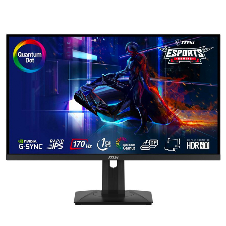 MSI G274QPF-QD Monitor - 27 Inch, 2560x1440, 170hz