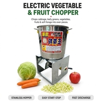 Machine à couper, hacher et broyer les légumes et fruits, électrique, en acier inoxydable, multifonctionnelle, pour la ferme, la cuisine et l'alimentation animale