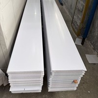 Plaques de plafond en PVC imperméables blanches, laminées, faciles à installer, panneaux de plafond en PVC pour l'intérieur, pour appartement, salon