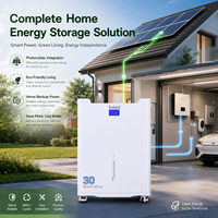 Batterie de stockage d'énergie solaire LiFePO4 à cycle profond, longue durée de vie, hybride, pour extérieur, avec contrôle BMS avancé, CAN, 30 kWh, empilable