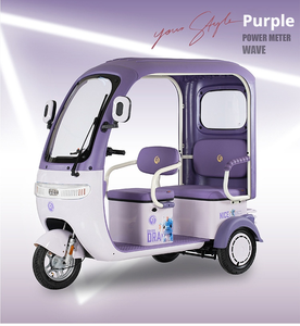 Tricycle électrique pas cher, usine chinoise, prix <span class=keywords><strong>bas</strong></span>, vente directe, moteur 800w, tricycle familial de haute qualité pouvant accueillir 3 personnes - Product Image 6