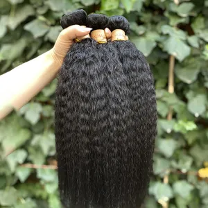 $1 1 Sample Natural Color Silky Straight Raw Hair Bundles Human Hair Double Drawn All Style Bone Straight Bundles With Closure