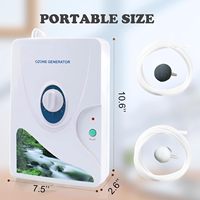 Mesin ozon pembersih bau 600mg/jam untuk rumah, Dapur, buah, sayuran, Generator mesin ozon untuk Air dan udara,