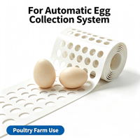 Équipement avicole, ceinture de collecte d'œufs en PP, faible friction, ceinture de transport d'œufs durable pour cages à poulets multi-niveaux