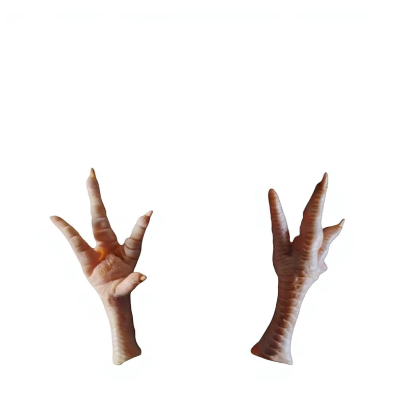 Fresh Quality Frozen Chicken Paws 100